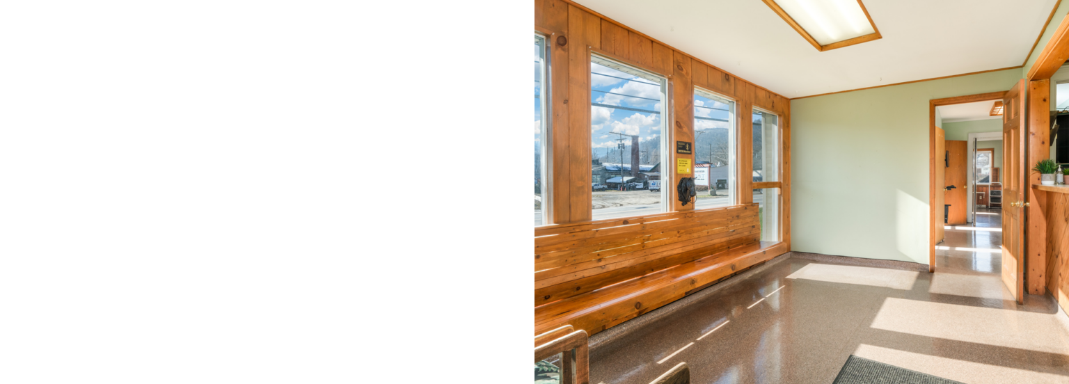 Vet Clinic for Sale 1 Howell Street, Walton, NY