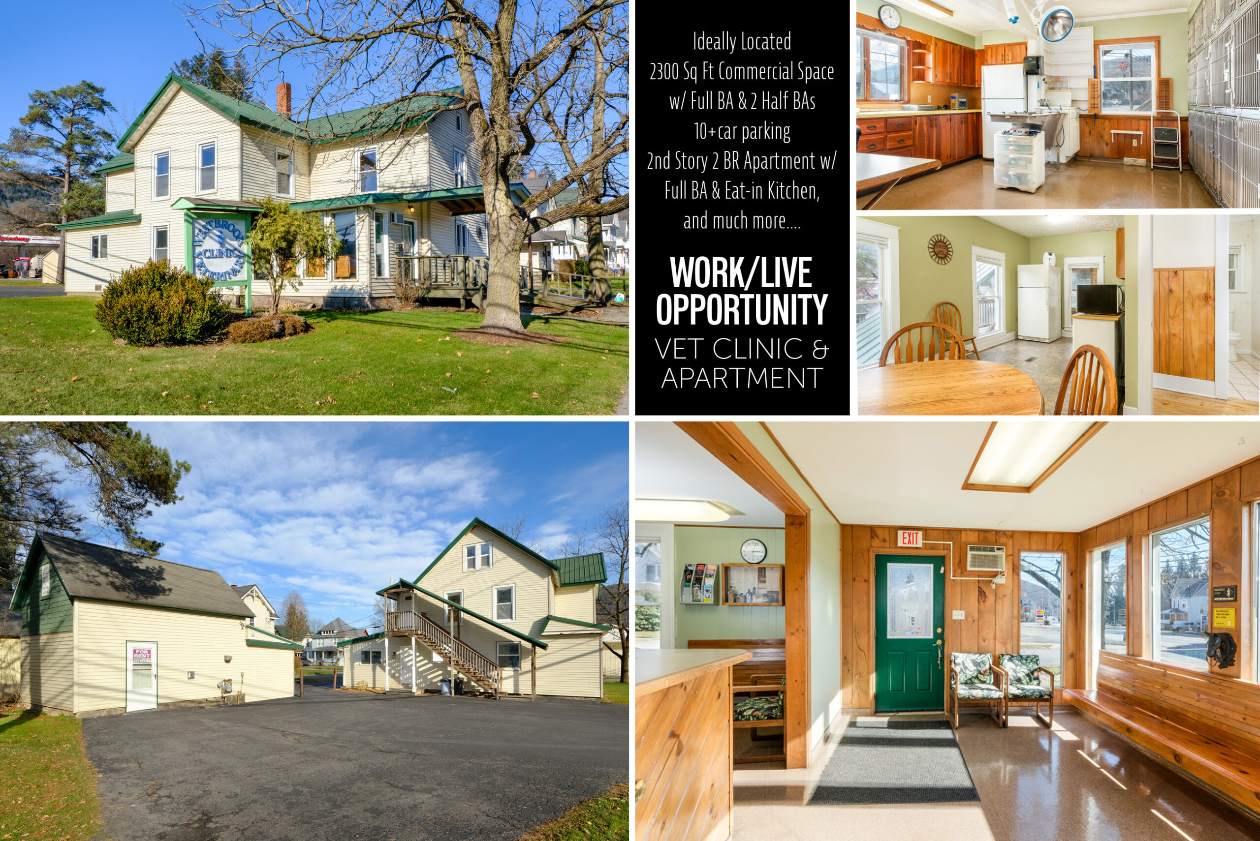 Vet Clinic for Sale 1 Howell Street, Walton, NY